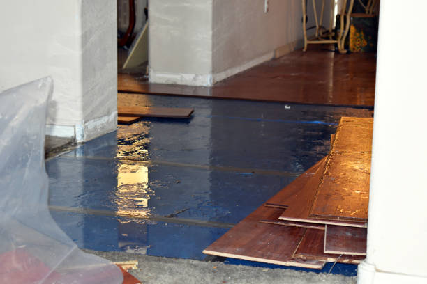 Professional Burst Pipe Water Damage technician working in Woodlawn, VA